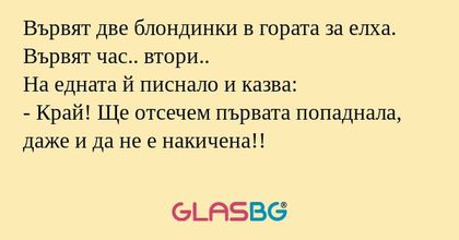 Вървят две блондинки в гората за...