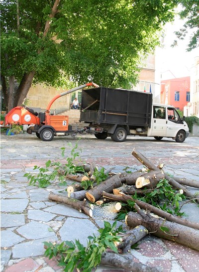 Разчистват падналите дървета от бурята в Пловдив