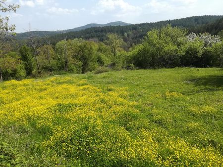 Времето в Бургас на 3 май: Топло и слънчево – възползвайте се!