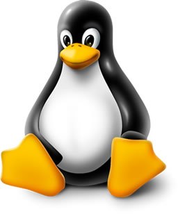 Linux Kernel 4.19.5 Stable