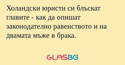 Холандски юристи си блъскат главите...