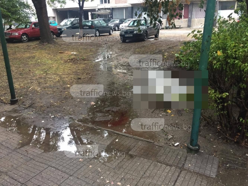 Възрастна жена сложи край на живота си в Пловдив, скочи от 9-тия етаж  СНИМКИ