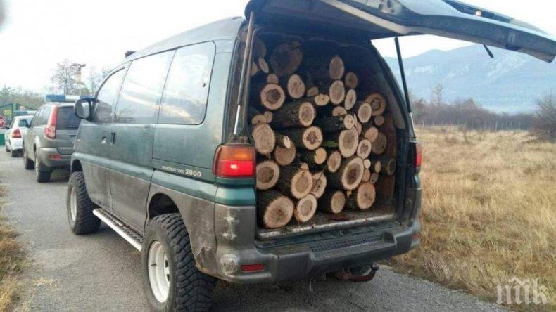 Нова акция срещу незаконния дърводобив, седем души са арестувани