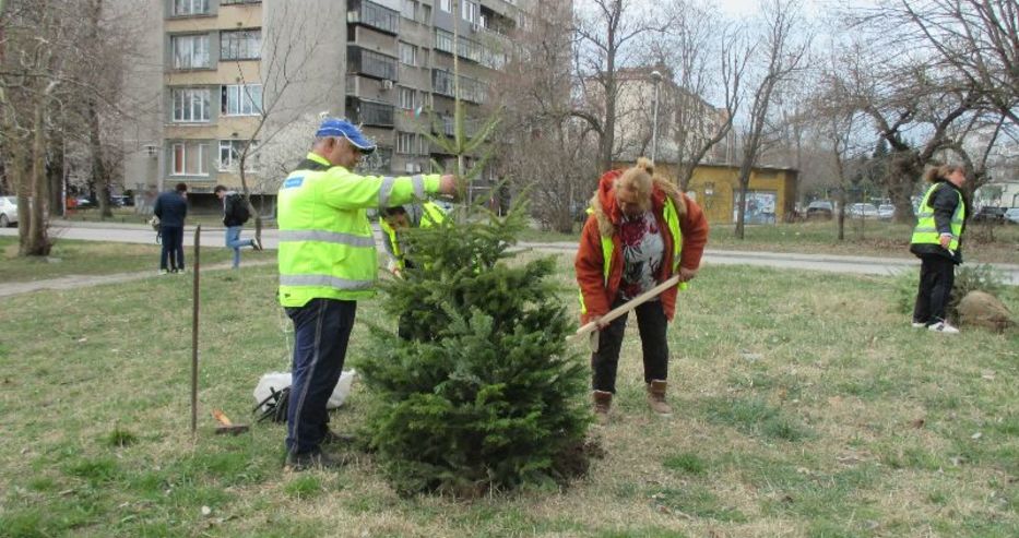 Пролетното засаждане на дървета и храсти на територията на Район „Приморски“ е в разгара си