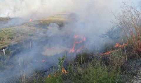 Пожарът край село Реброво е умишлен! Хванаха подпалвача