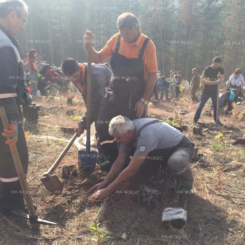 Шумен: 800 декара нови гори ще бъдат залесени през тази година в стопанствата, които влизат в обхвата на Североизточното държавно предприятие