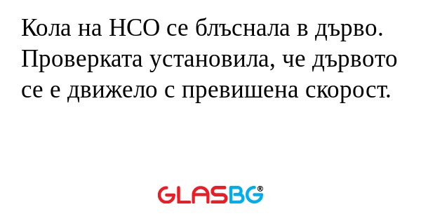 Кола на НСО се блъснала в дърво...