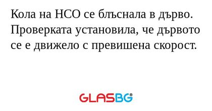 Кола на НСО се блъснала в дърво...