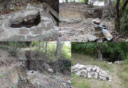Хора от цяла България се стичат към Родопите, за да си налеят капчица надежда