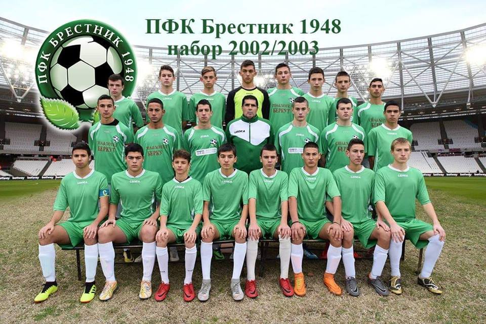 Брестник с класика над Сокол Марково в младшата