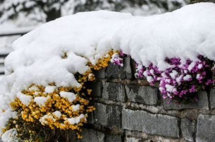 Преспи, дебели до 40 сантиметра, блокираха Словения
