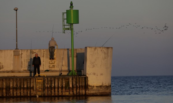 Екологична катастрофа застрашава Балтийско море