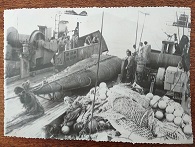 Бургас: Автентична рибарска мрежа, живи риби, непоказвани артефакти са част от изложбата „Риби и рибарство в Южното Черноморие“, която ще бъде показана в града от юни до септември