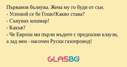 Първанов бълнува. Жена му го буди...