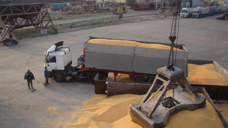 България е основният доставчик на пшеница за Великобритания този сезон!