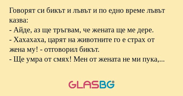 Говорят си бикът и лъвът и по едно...