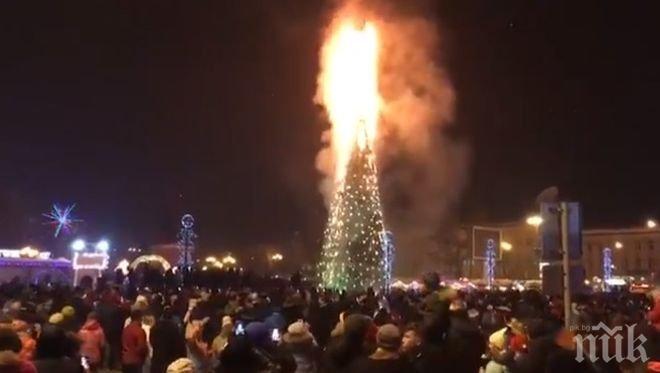 Новогодишната елха в центъра на Южносахалинск изгоря по време на тържествата (ВИДЕО)
