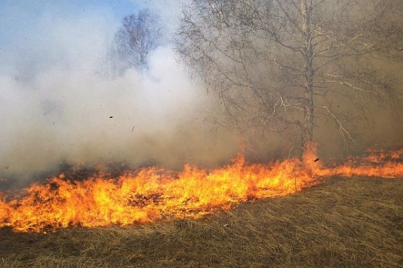 Голям пожар в Пловдивско заради небрежност
