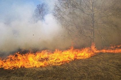 Голям пожар в Пловдивско заради небрежност