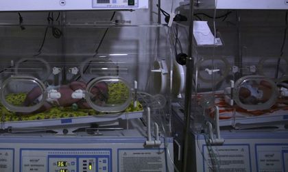 Треската зика може да обхване и двете Америки