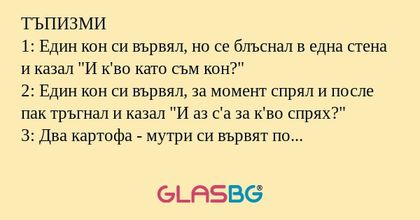 ТЪПИЗМИ 1: Един кон си вървял...