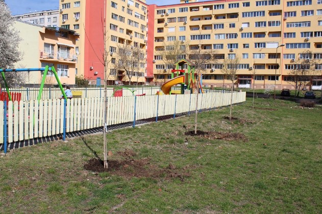 Ямбол: Нови декоративни видове се засаждат в различни райони на града в рамките на пролетната залесителна кампания на Общината