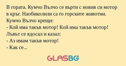 В гората. Кумчо Вълчо се върти...