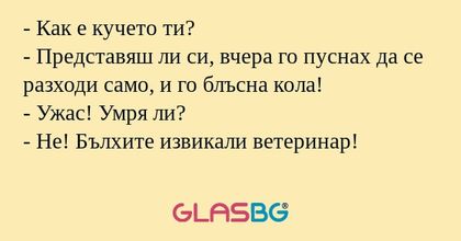 Как е кучето ти? - Представяш...