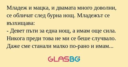 Младеж и мацка, и двамата много...