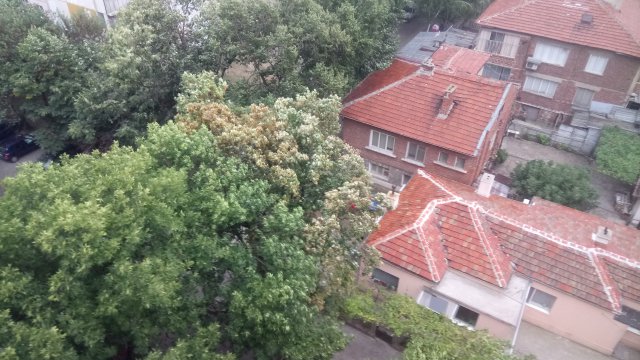 Кратка буря се изви над Пловдив ВИДЕО