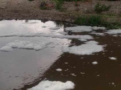 Прокуратурата подхваща замърсяването на река Мечка