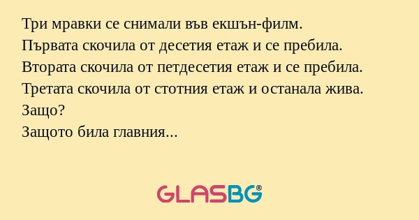 Три мравки се снимали във екшън-филм...