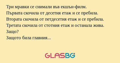 Три мравки се снимали във екшън-филм...