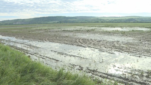 Земеделците в Левски и Свищов искат държавата да осигури защита от градушки