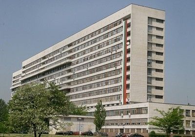 Единият от сиамските близнаци е с без мозък, бял и черен дроб