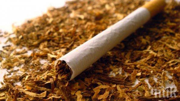 СПЕЦАКЦИЯ: Спипаха 120 килограма тютюн без бандерол в Раковски