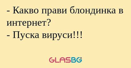 Какво прави блондинка в интернет...