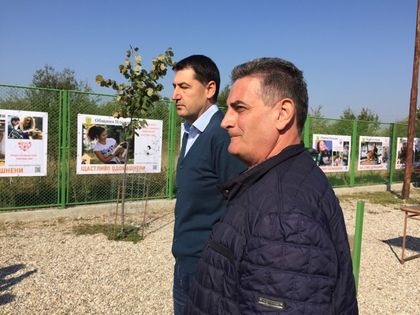 500 са бездомните кучета в Пловдив, кметът: Обезпаразитяваме ги и ги пускаме (СНИМКИ)