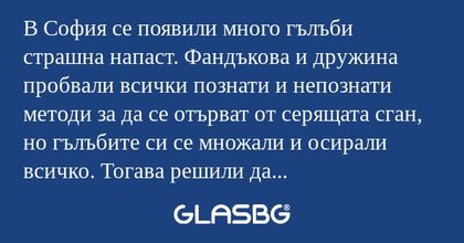 В София се появили много гълъби...