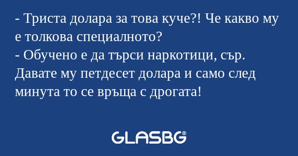 Триста долара за това куче...