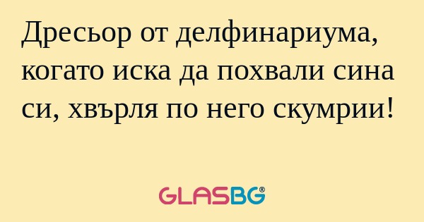 Дресьор от делфинариума, когато...