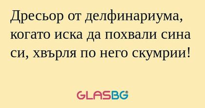 Дресьор от делфинариума, когато...