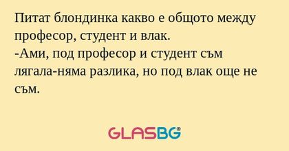 Питат блондинка какво е общото...