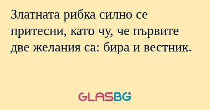 Златната рибка силно се притесни...