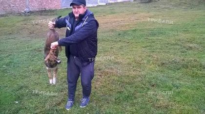 Отврат! Мъж се хвали с разстреляно куче
