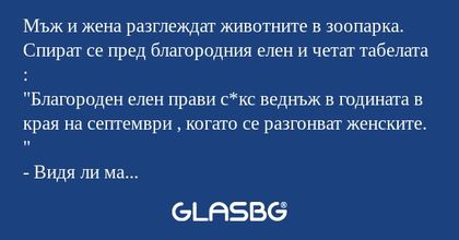 Мъж и жена разглеждат животните...