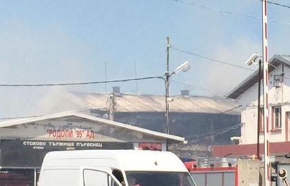 Пожар бушува край борсата в Първенец