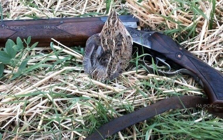 Благоевград: Югозападно държавно предприятие ще представи възможностите за ловен туризъм на изложението „Jagd & hund“ в Дортмунд