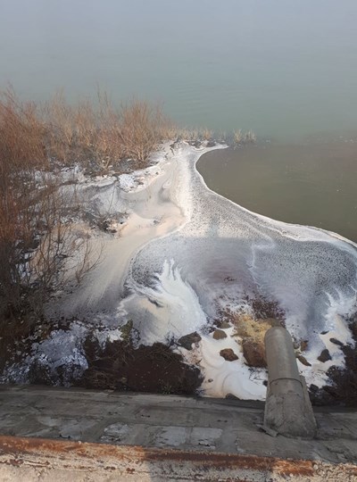 Предприятие замърсява Дунав