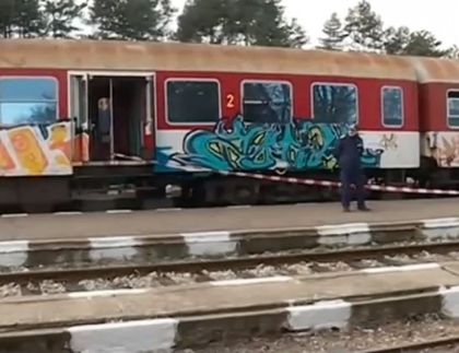 Нова песен на Преслава станала повод ромката да намушка фатално с нож мъж във влака